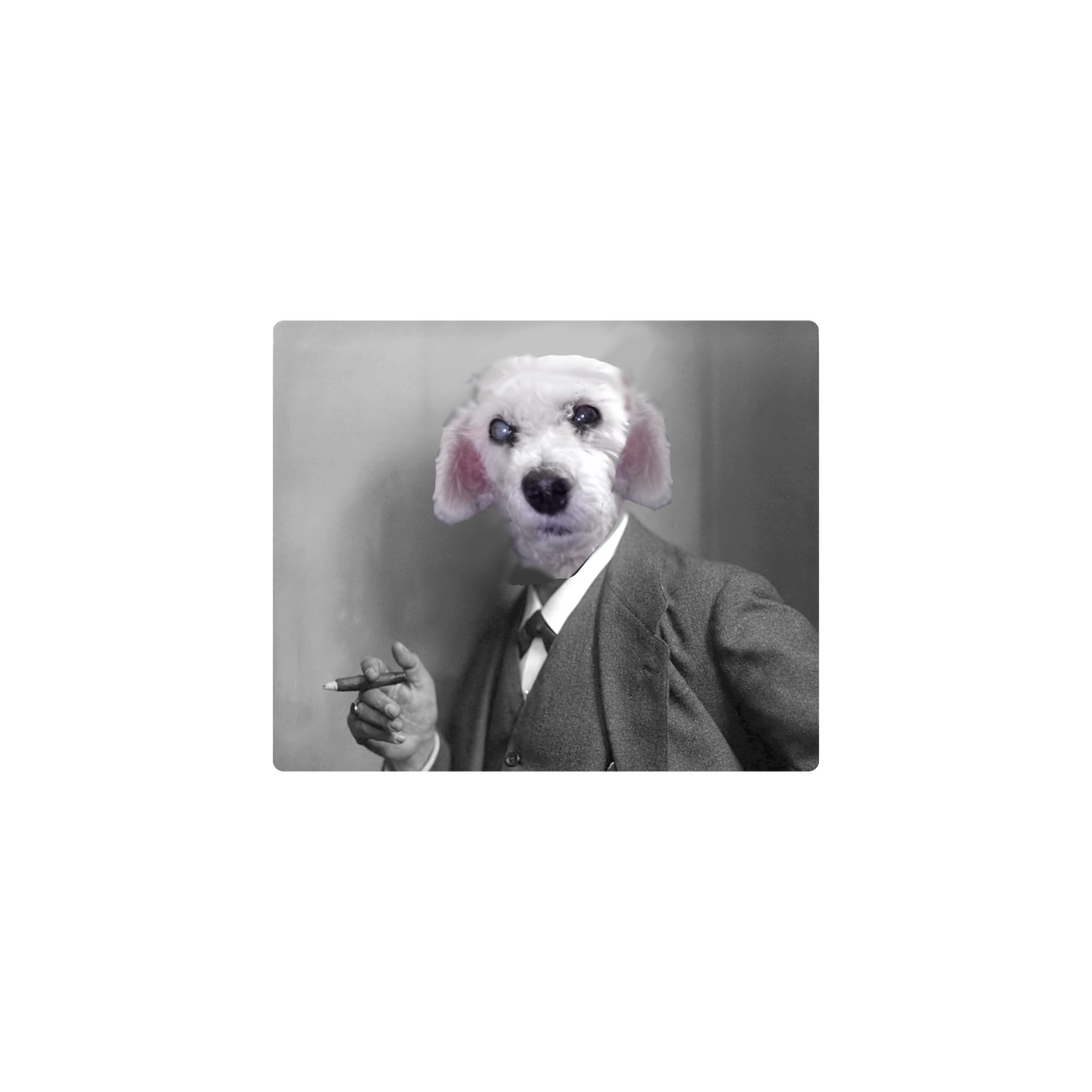 Mousepad Freud Perruno 30x25 Classic | Custom